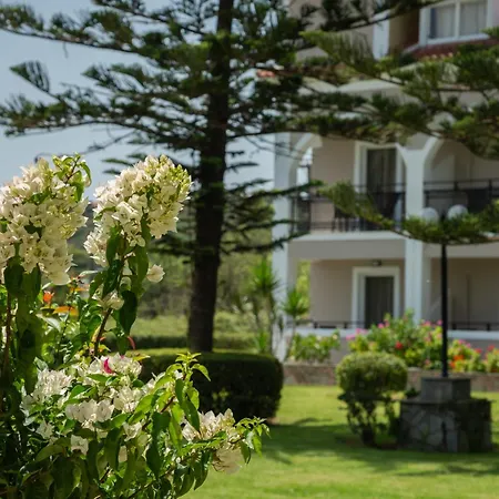 Sofia - Yiota & * チィリヴィ